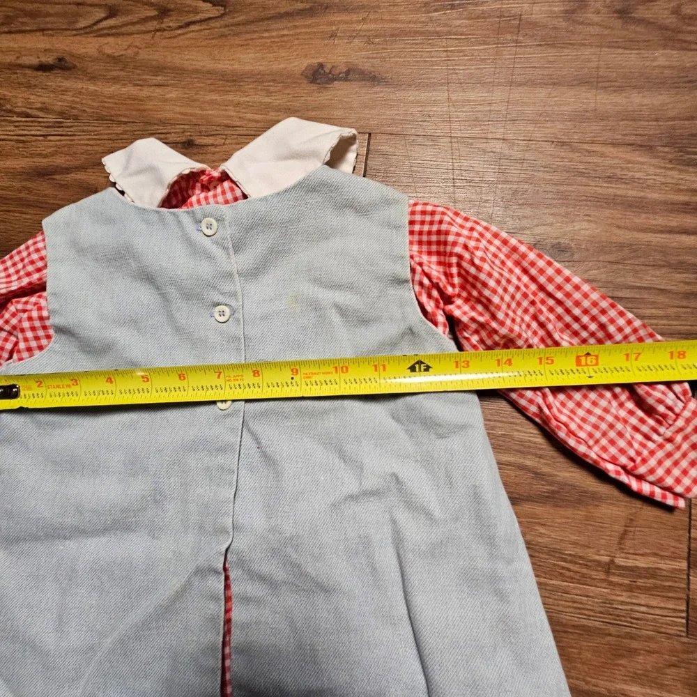 Vintage Chocolate Soup Spider Web Ladybug Embroidered Gingham Chambray Dress 12M